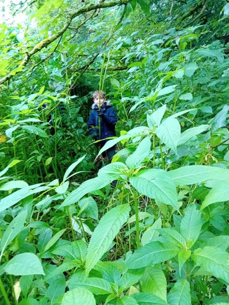 Hoghton Bottoms ‘Balsam Bash’ 7th July 2024 Gallery Main Photo