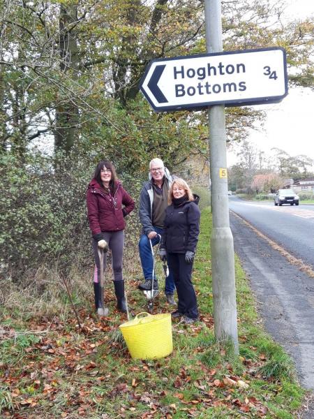 Daffodil planing by the entrance to Chapel Lane:  November 2022 Gallery Main Photo
