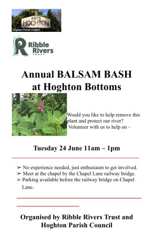 Hoghton Bottoms Balsam Bash:  24th June 2025