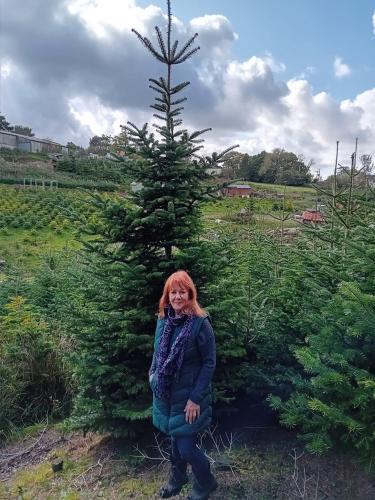 Christmas Trees 2023