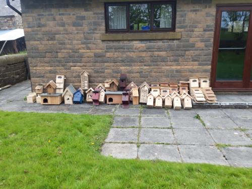 Environmental Action from Hoghton Parish Council 2024
